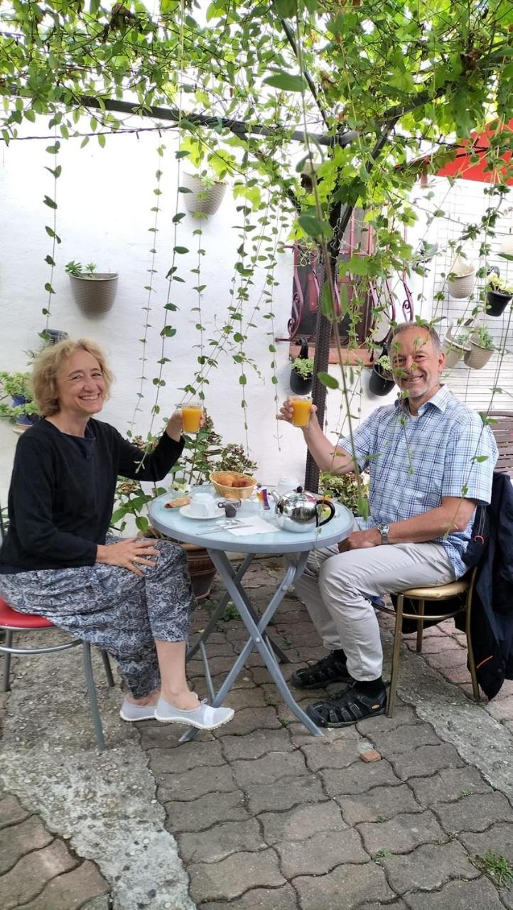 Bed & Breakfast Le Beausejour Carcassonne Exterior foto