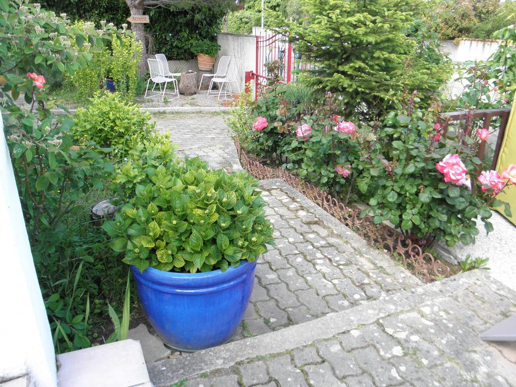 Bed & Breakfast Le Beausejour Carcassonne Exterior foto